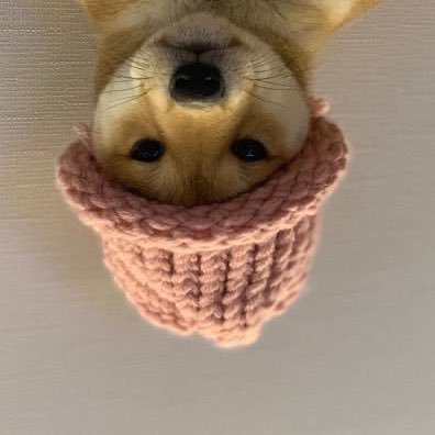 blackfinst's profile picture. 