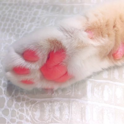 りぃすけさんのプロフィール画像