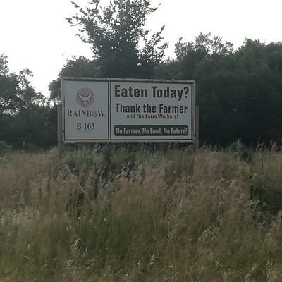 bafe0809's profile picture. not a politician but being affected by politics, so I am passive politician. I am an African, who is classified as South African. political parties=charismatic