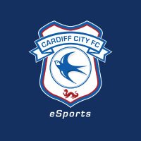 CardiffCityFCeSports (@esportbluebirds) 's Twitter Profile