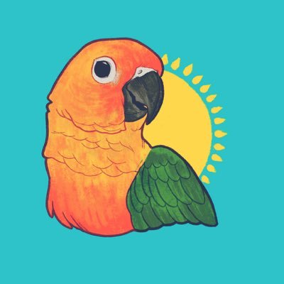 🛍AvaBirb Toys & Tents: Ava-Approved! 🌎We ship worldwide https://t.co/oWKykY4hsi 🐣Ava the Sun Conure: hatched on 03/27/2018