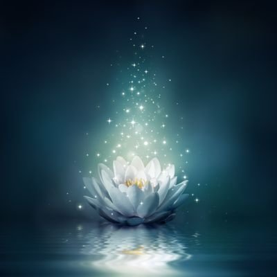 kOi5oWdA947712l's profile picture. 