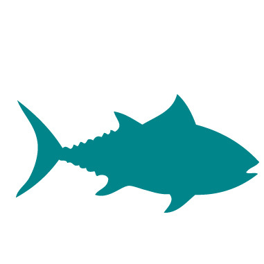 thebluefin's profile picture. 