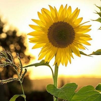 lliillyyyyyyy's profile picture. 