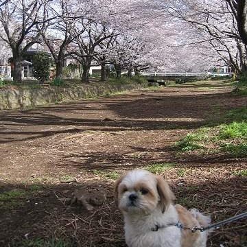 釣り (専ら船の餌釣り、天秤タチウオlove); 弁釣会No.8; 飲み歩き🐶; 日本酒ラブ; 寿司; ラーメン (246亭、中本); 山run; 斉藤和義; 博士 (中本); 弁○士; IP登山部; M組/Bゼミ/Yゼミ