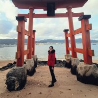 顾适 Gu Shi (@gushidoc) 's Twitter Profile