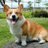 ein_bebop