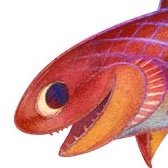 #Evolution for preschoolers: Grandmother Fish from Macmillan (English, Italian, Japanese, Chinese). Also Clades & Planet Voyagers. I'm @JonathanMTweet