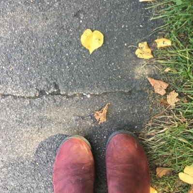 Salo66230137's profile picture. 本とお花で生活に彩りたい🌷水野ゼミ”本のライブハウス”にて『BOOK SHOP花模様』オープン、セカアカ3期生Dクラス　アイルランド好き🇮🇪