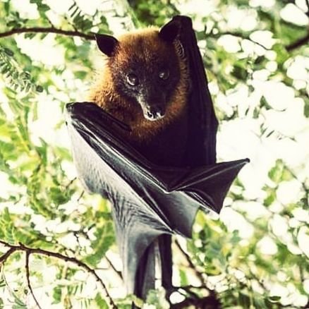 Leopen66's profile picture. Photographer/ exAd-man/ Lousy cook