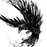 Black Crow(@depthview) 's Twitter Profile Photo