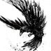 Black Crow Profile picture