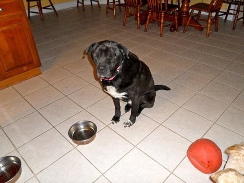 nbishar's profile picture. Sir, what’s in the bag? Papers…business papers…