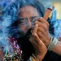 Pagal adamee RT # endorsement 😂😂😂