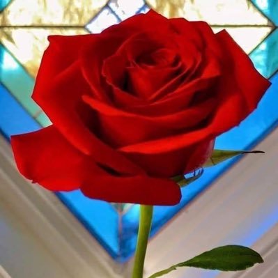 abraham_malachi's profile picture. 