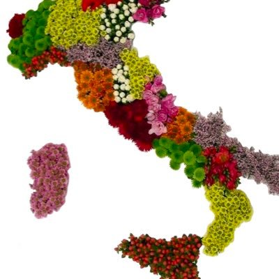 Unione di floricoltori italiani che si impegnano per il settore.   salviamolafloricolturaitaliana@gmail.com