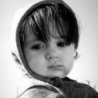 Hassan. Alsyah@ (@alsyahhassan) 's Twitter Profile