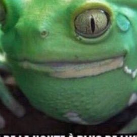 l_gous's profile picture. D F C O