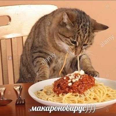 &наглый таракашка&さんのプロフィール画像