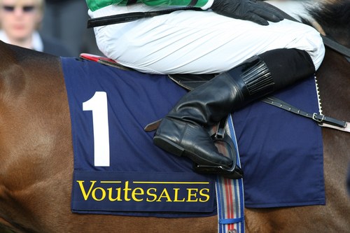 Ted Voute Profile