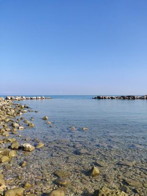 luisssfly's profile picture. Pentito