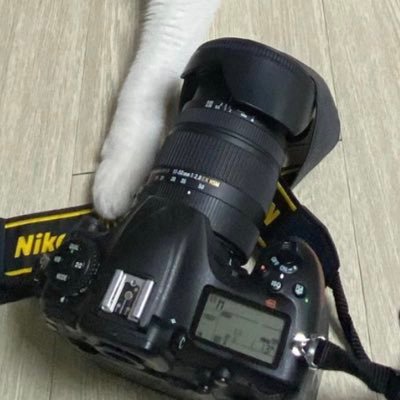 takeamoment132's profile picture. eSports photos / Do not Remove Watermark, Do not CROPPING, Do not make a second edit / 禁止去掉水印,二次上传请标明出处,禁止未经允许擅自使用照片 / Notice:Heart