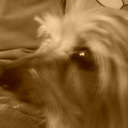 Judy Lee Herd - @rogfedsfanno1 - Twitter