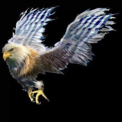 NKavvouris's profile picture. 