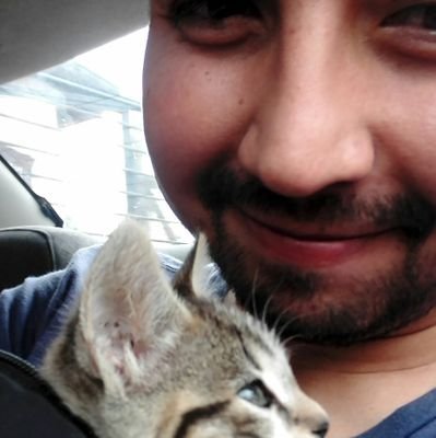 ElKyon93's profile picture. Profe de inglés. 
Me gustan los gatos y jugar weas en el PC, a veces prendo stream.
No tengo plata.