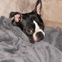 Greg Gare (@bareinator) 's Twitter Profile