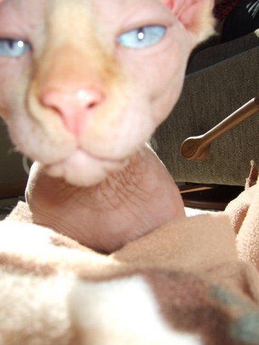 philhumann's profile picture. I want to go camping.