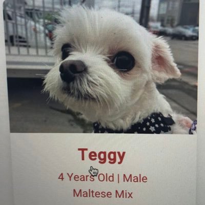 suburbanbird's profile picture. (he/they)