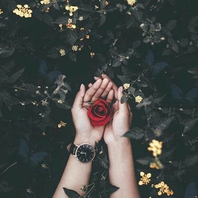 Stars_syk's profile picture. 