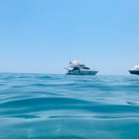 عادل غازي السهو (@adel94449) Twitter profile photo