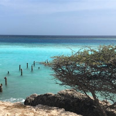 investman222's profile picture. Ingénieur