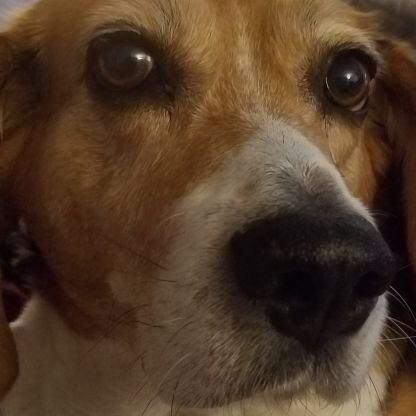 ScardsCoco's profile picture. MTG buy/sell/trade