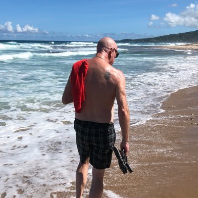 Liveinyork's profile picture. 