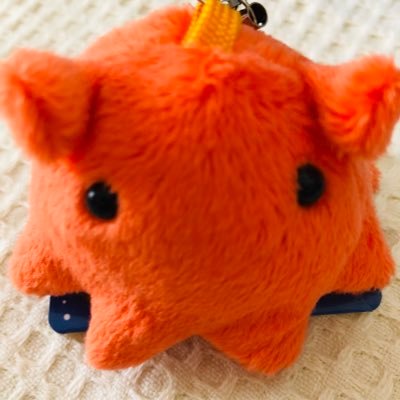 mendacochan's profile picture. 詩は役に立たない。でもそれが生きること。 。ちいさいけどつぶらな目で 、じーっと見つめます。