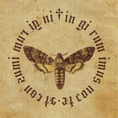 edekideki's profile picture. 