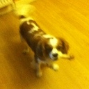 Marcus Mcevoy - @mmc2k11 - Twitter