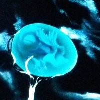 mldsmptms (@mldsmptms) 's Twitter Profile