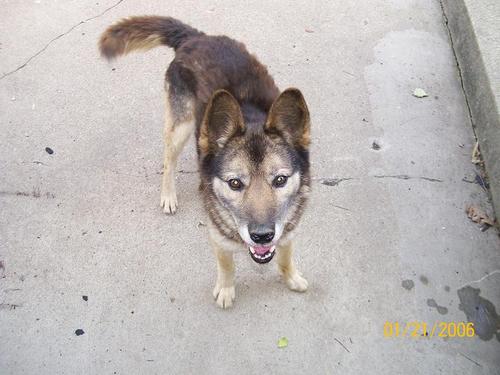 wmarchewka's profile picture. 