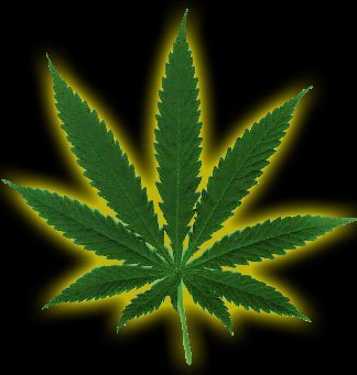 seed2success's profile picture. Arizona's only marketing, management, and consulting firm specializing in the professional set-up of Medical Marijuana Dispensaries http://t.co/trfAF4LuaR