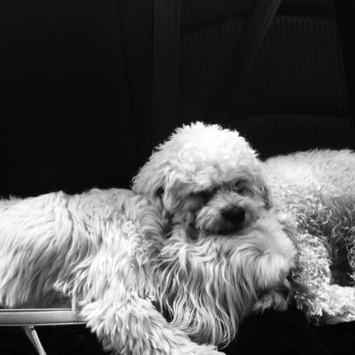 vinall_lucy's profile picture. 