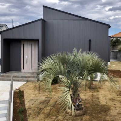 Kazue Kazue Koji Twitter Kazue Kazue Koji Twitter