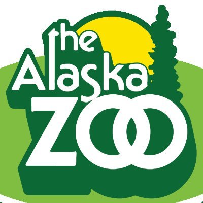 The Alaska Zoo is a nonprofit caring for orphaned and injured wildlife in Alaska for over 50 years. We are the only zoo in Alaska! Photos by John Gomes.