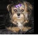 Deb Craft - @DebCraft02 - Twitter