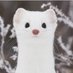 Momo (@dorimomo) Twitter profile photo Momo (@dorimomo) Twitter profile photo