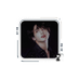 REAPER (@heituzl) Twitter profile photo REAPER (@heituzl) Twitter profile photo
