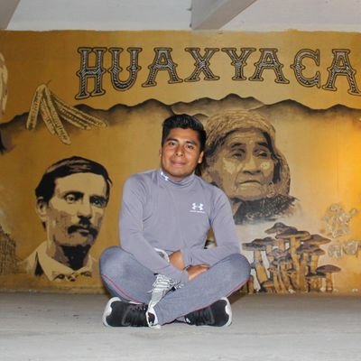 Coordinador de Operación y Seguimiento del Programa Asesoría Pedagógica Itinerante en @Conafe.
